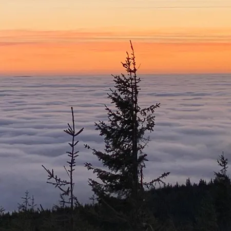 Rotgiesserhaus Hotel 3*