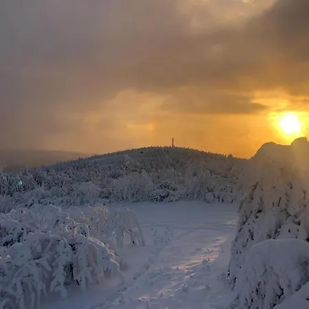 Hotel Rotgiesserhaus