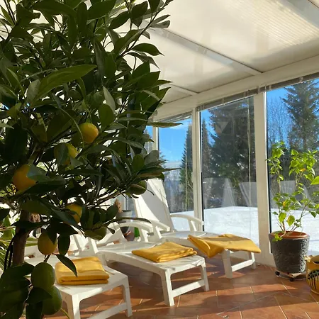 Hotel Rotgiesserhaus