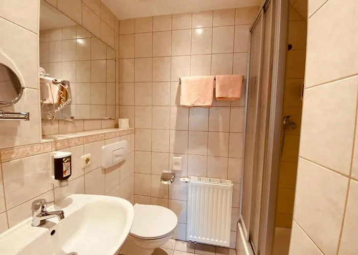 فندق Rotgiesserhaus 3*