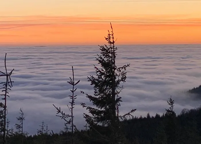 Rotgiesserhaus فندق 3*