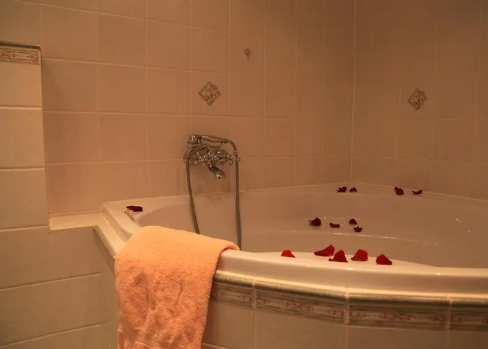 فندق Rotgiesserhaus 3*