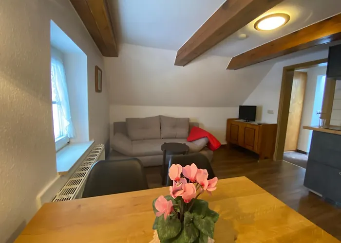 فندق Rotgiesserhaus 3*